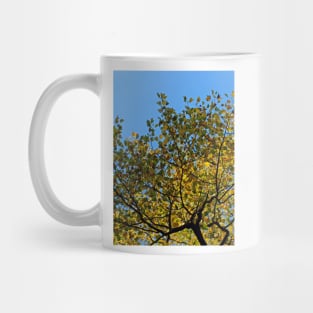 Tulip Tree in the Autumn Mug